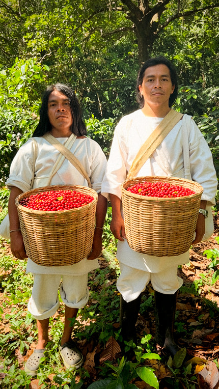 Colombian specialty coffee
